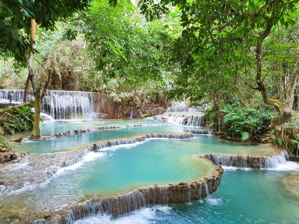 Laos - the tranquil Kuang Si Falls, just outside Luang Prabang
